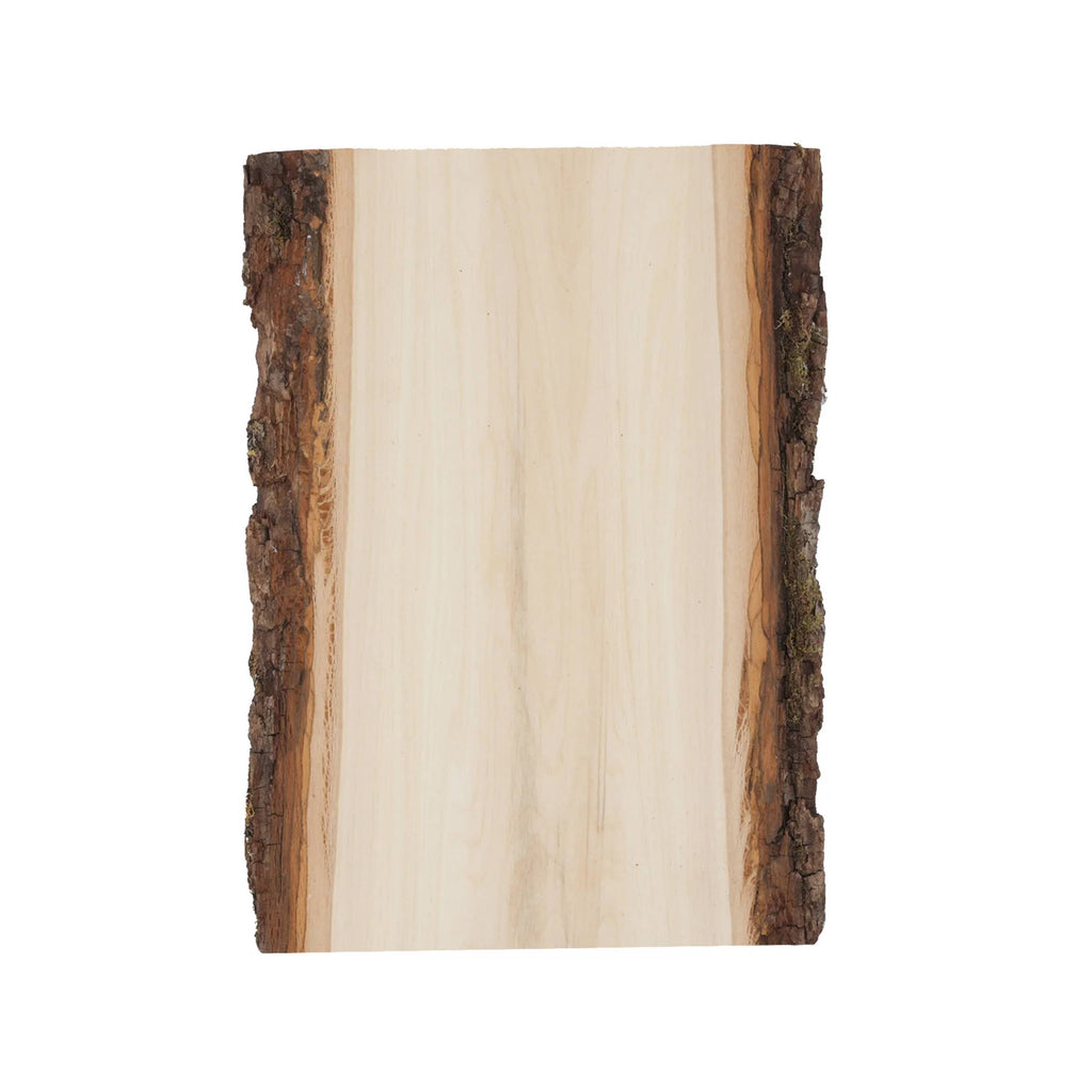 Premium Basswood Bark Live Edge Plank, Small