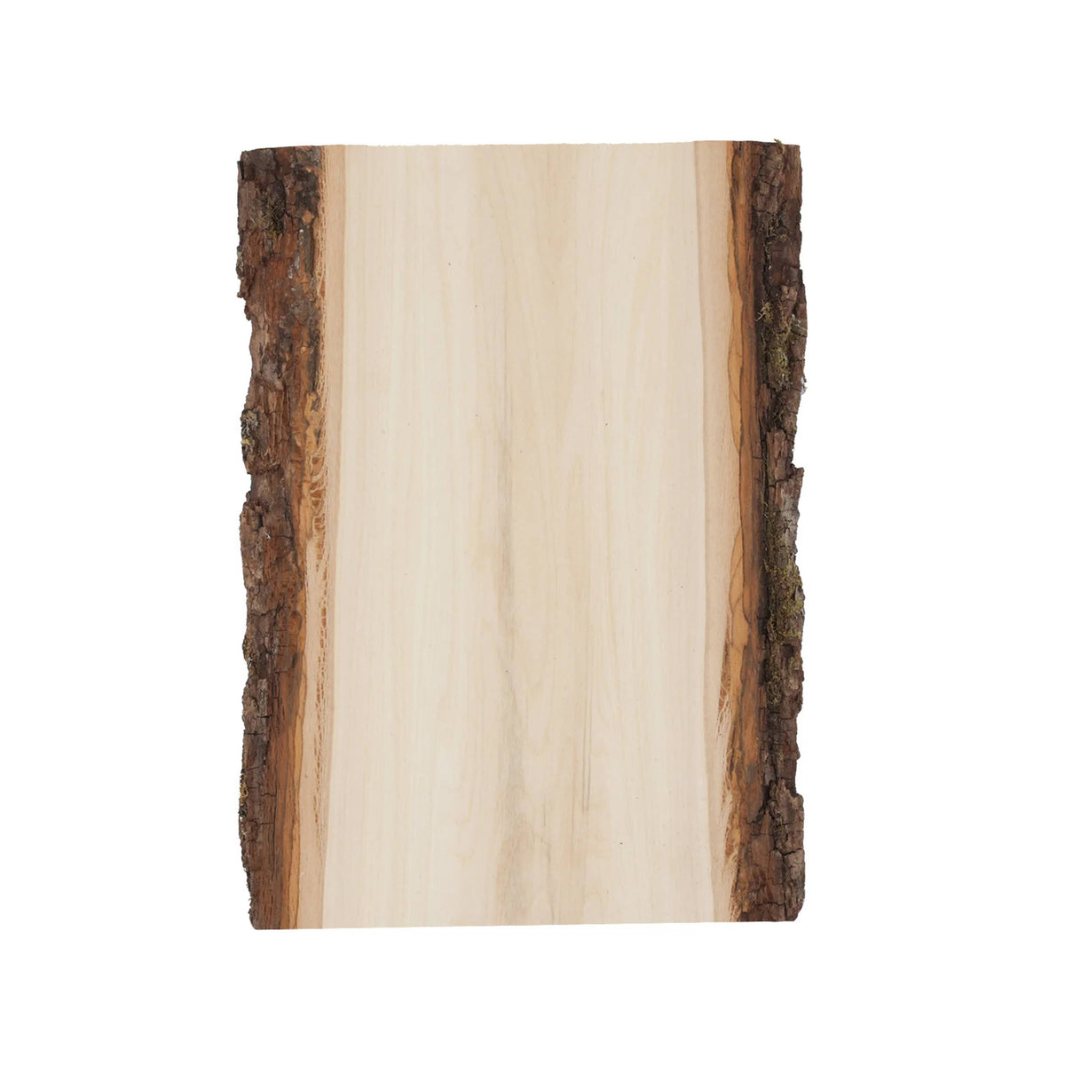 Premium Basswood Bark Live Edge Plank, Small